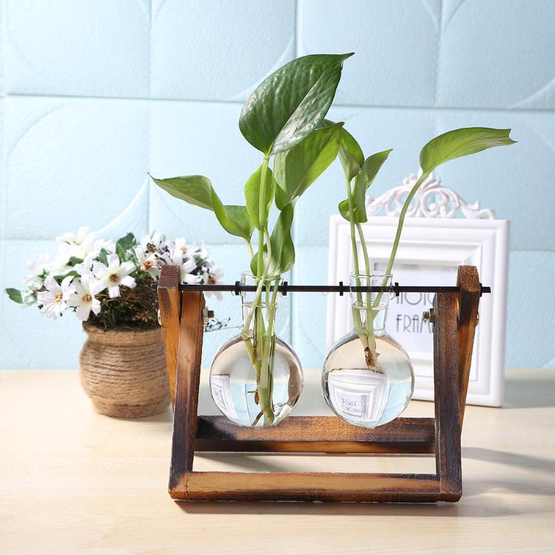 Glass & Wood Tabletop Terrarium