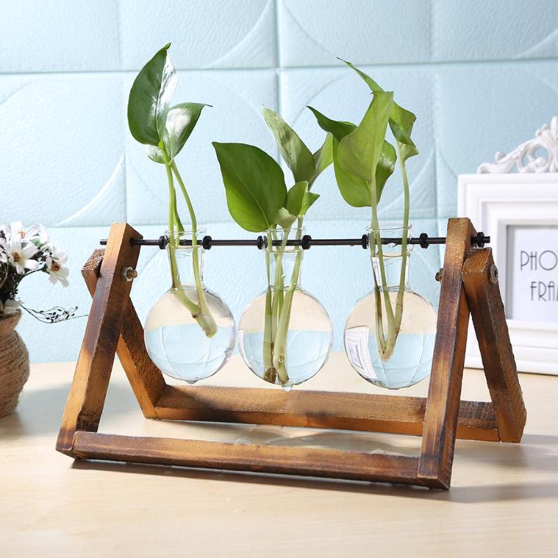 Glass & Wood Tabletop Terrarium